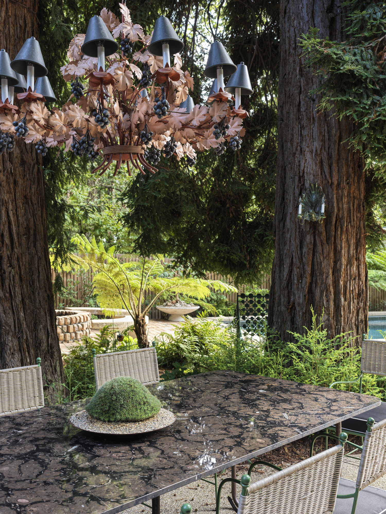 Brooktree image 12